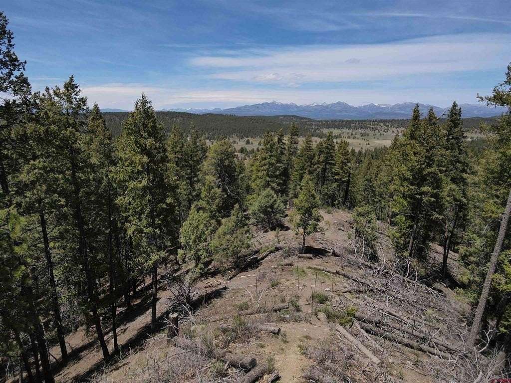 5 Acres of Residential Land for Sale in Pagosa Springs, Colorado