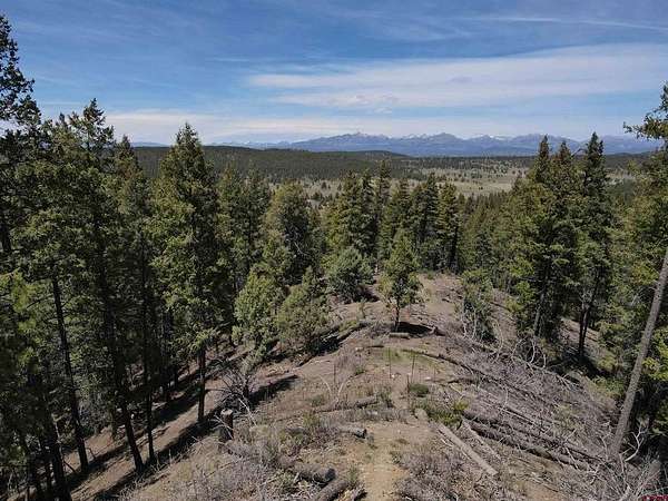 5 Acres of Residential Land for Sale in Pagosa Springs, Colorado