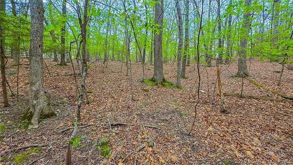 0.45 Acres of Residential Land for Sale in Sunrise Beach, Missouri