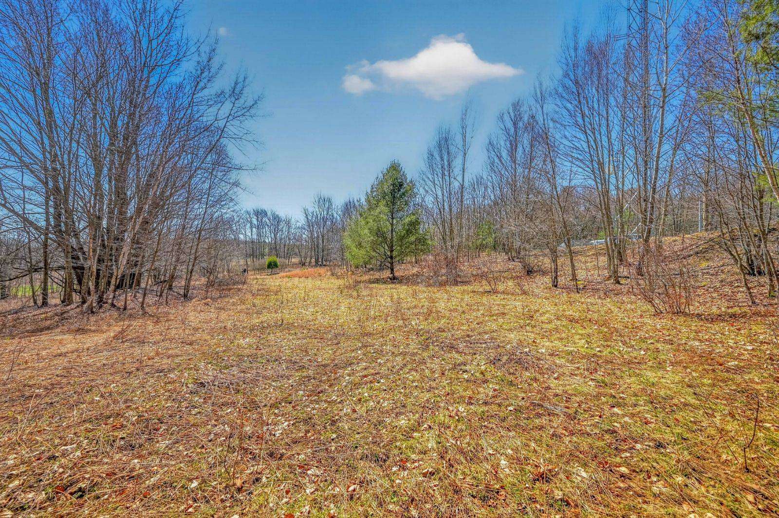 10 Acres of Recreational & Residential Land for Sale in Davenport, New York