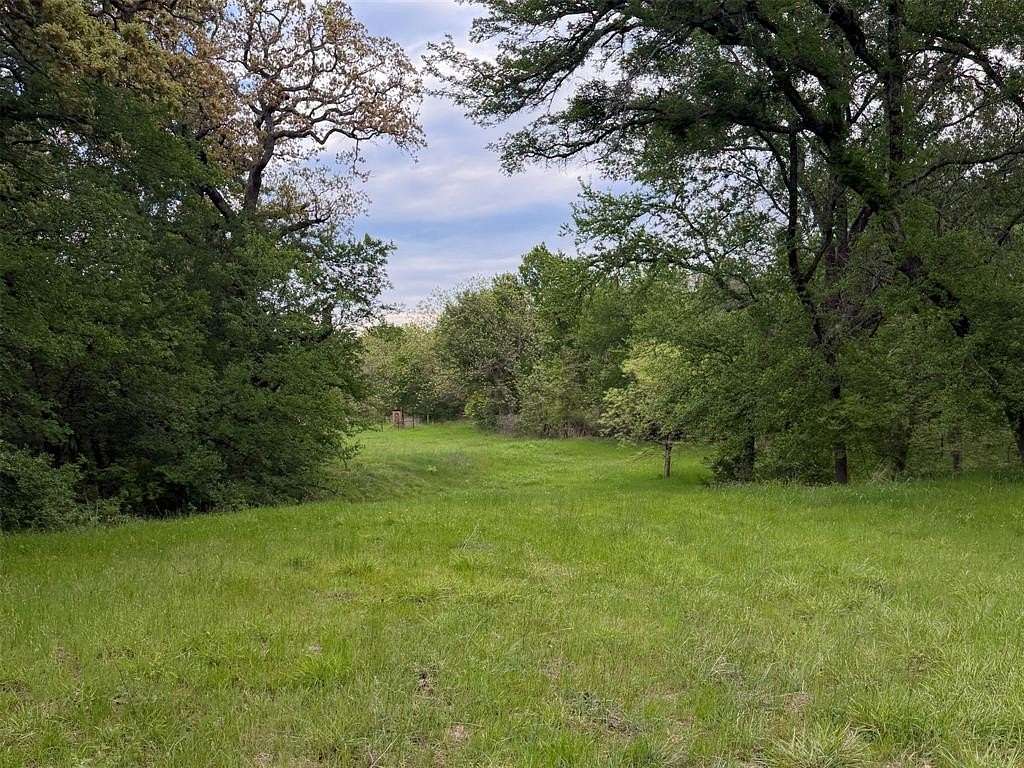 18.7 Acres of Land for Sale in Peaster, Texas