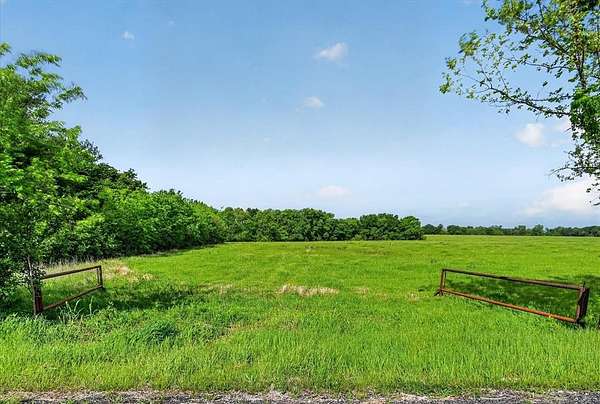 2 Acres of Residential Land for Sale in Blue Ridge, Texas
