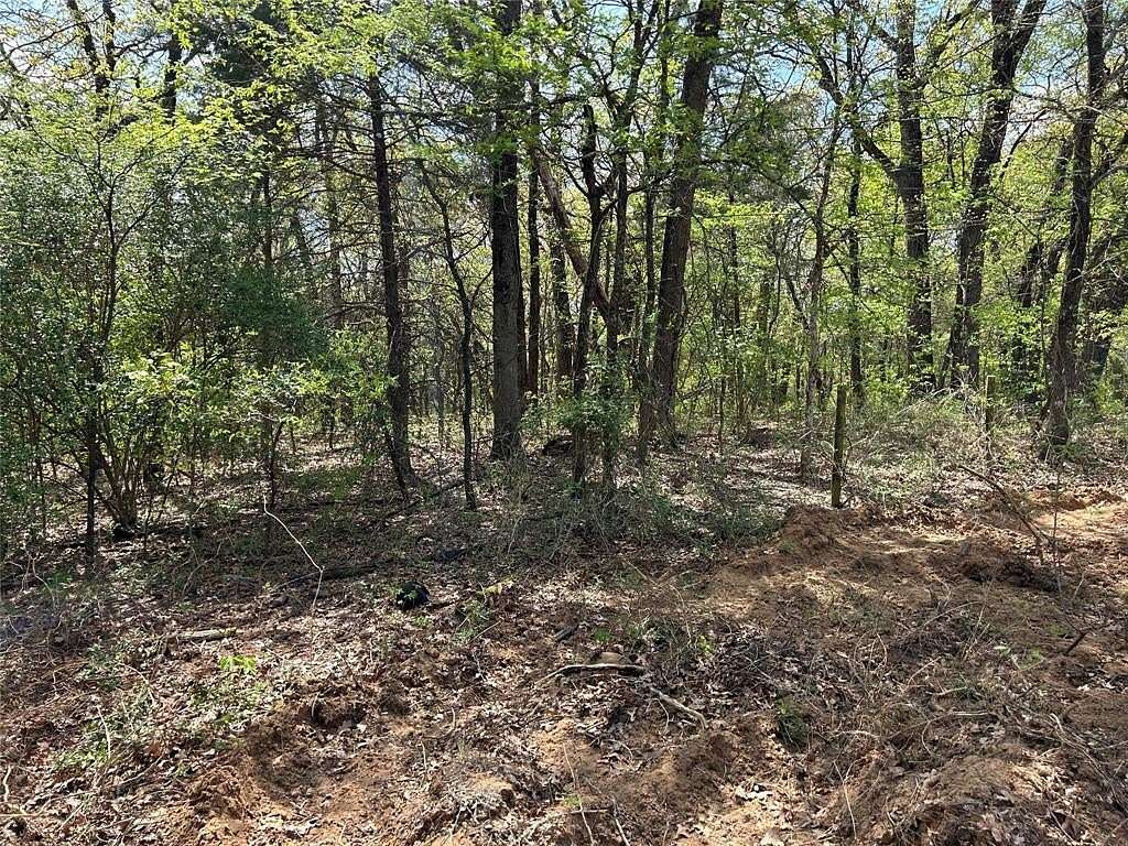 4 Acres of Land for Sale in Denison, Texas