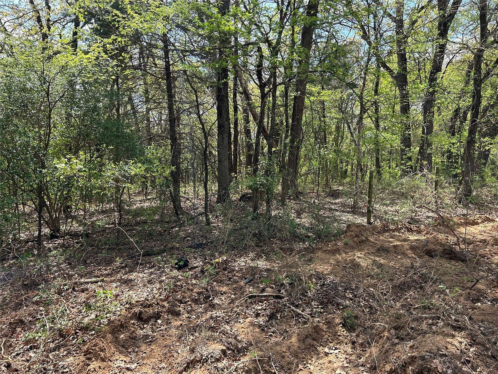 4 Acres of Mixed-Use Land for Sale in Denison, Texas