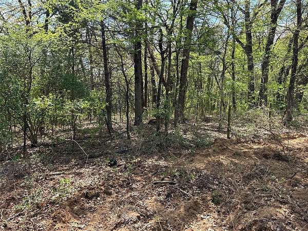 4 Acres of Land for Sale in Denison, Texas