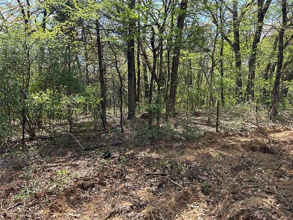 4 Acres of Mixed-Use Land for Sale in Denison, Texas