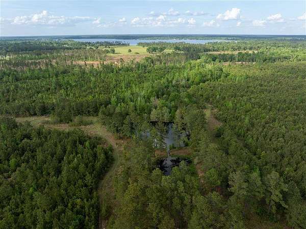 153 Acres of Recreational & Residential Land for Sale in DeRidder, Louisiana
