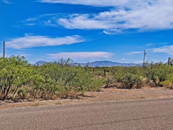 0.44 Acres of Land for Sale in Valentine, Texas