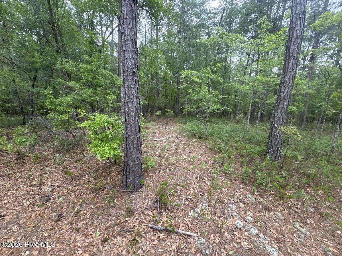 4.76 Acres of Residential Land for Sale in Atkinson, North Carolina