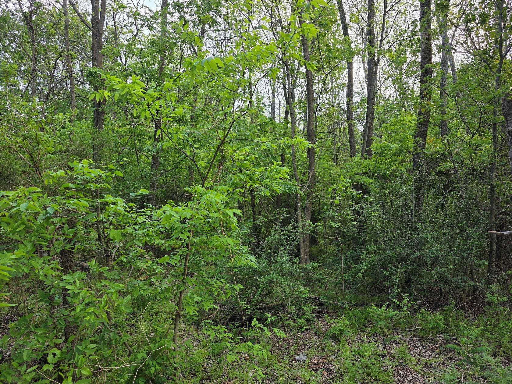 1.84 Acres of Residential Land for Sale in Greenville, Texas