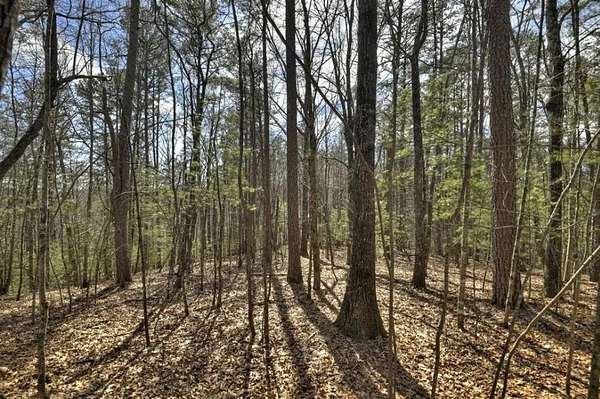 1.55 Acres of Land with Home for Sale in Blue Ridge, Georgia