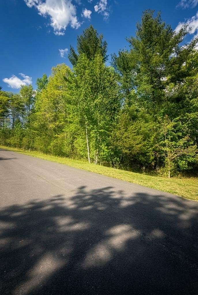 1 Acre of Residential Land for Sale in Blairsville, Georgia