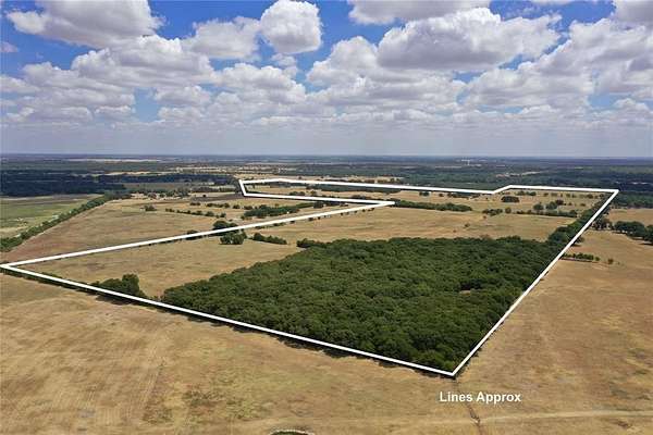 246 Acres of Agricultural Land for Sale in Scurry, Texas