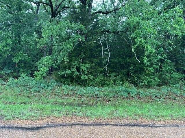 0.12 Acres of Residential Land for Sale in Mabank, Texas
