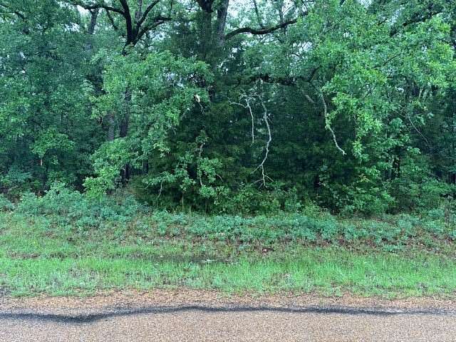 0.12 Acres of Residential Land for Sale in Mabank, Texas
