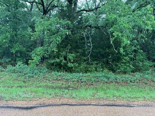 0.12 Acres of Residential Land for Sale in Mabank, Texas