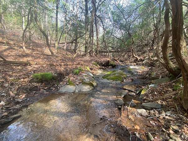 Land for Sale in Hayesville, North Carolina
