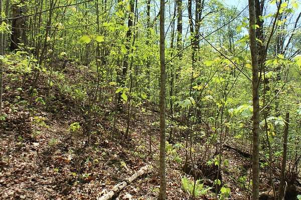 2 Acres of Residential Land for Sale in Hayesville, North Carolina