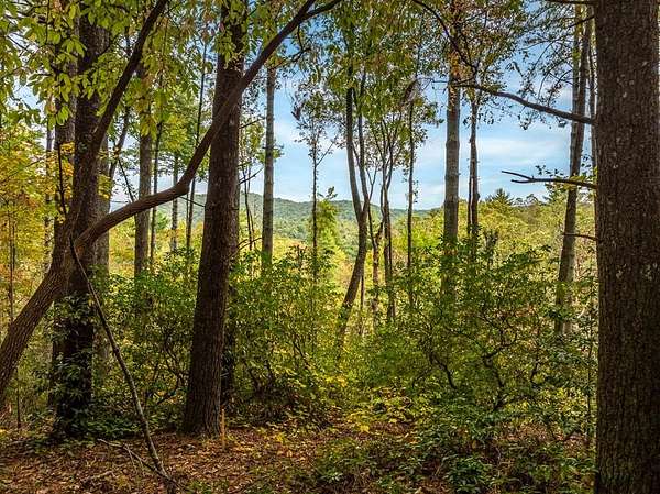 2 Acres of Residential Land for Sale in Ellijay, Georgia
