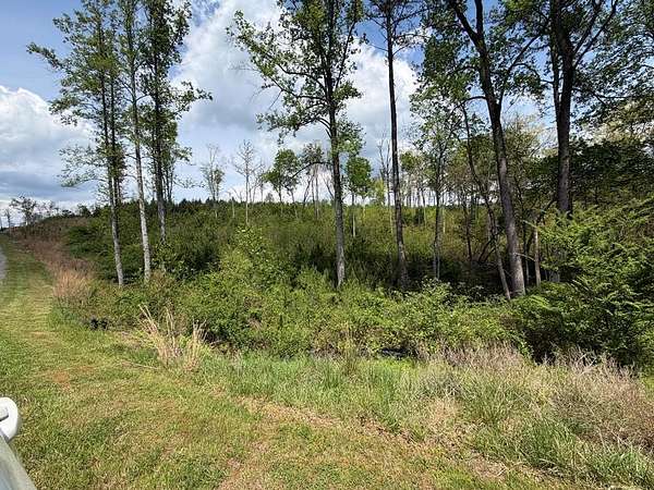 3.6 Acres of Residential Land for Sale in Ellijay, Georgia