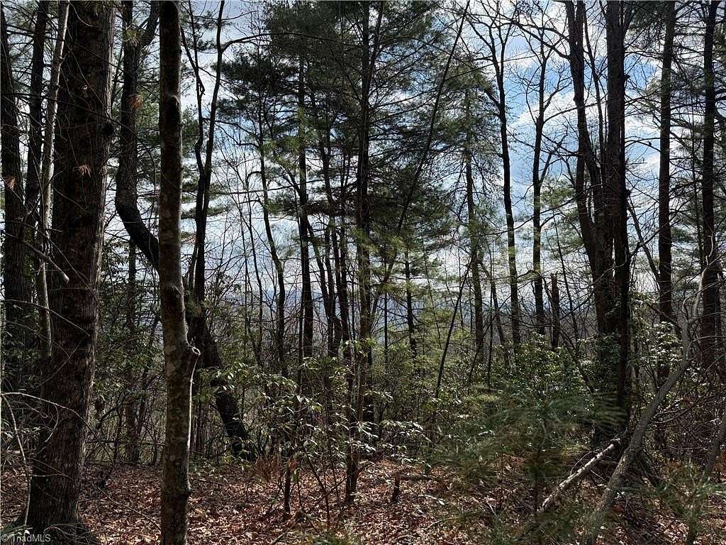 14.5 Acres of Land for Sale in Purlear, North Carolina