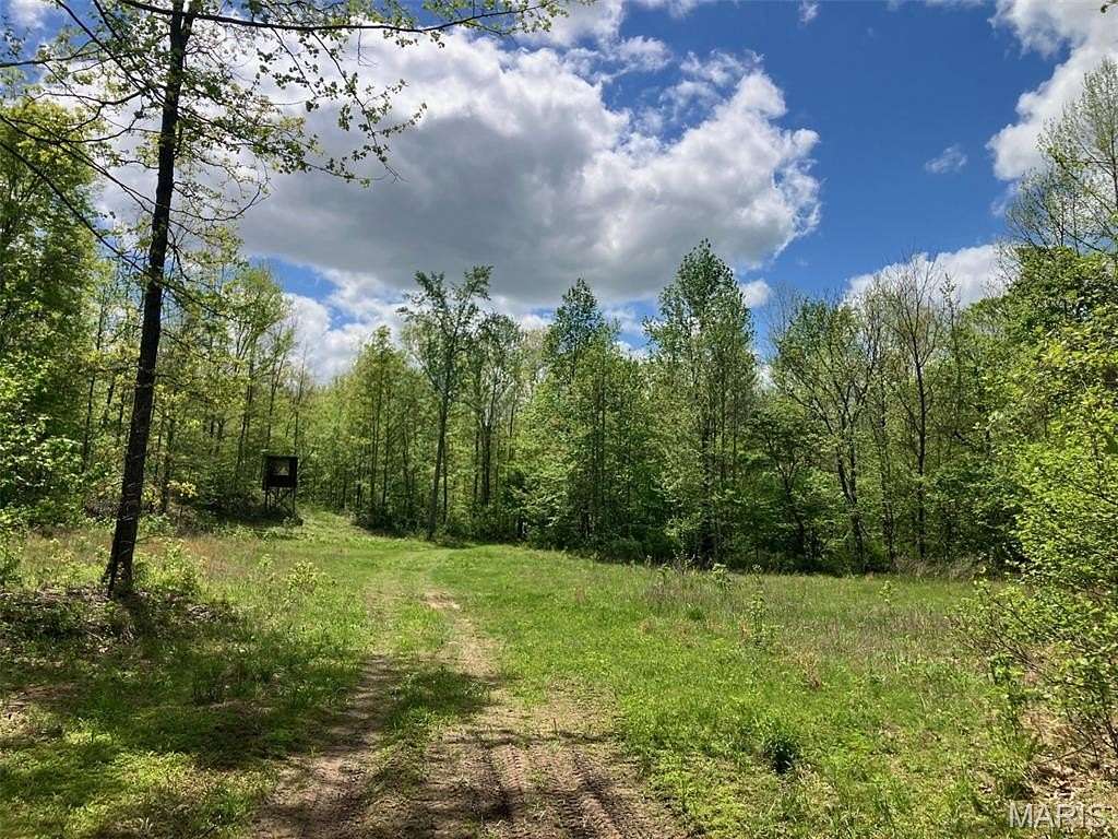 16 Acres of Recreational & Residential Land for Sale in Fredericktown, Missouri