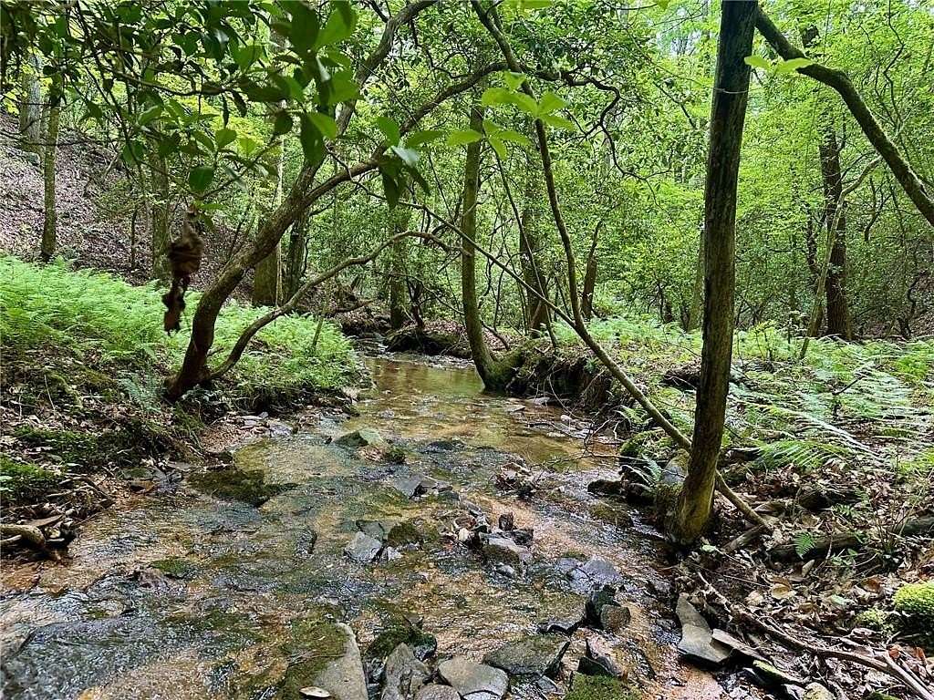 10.5 Acres of Land for Sale in Dahlonega, Georgia