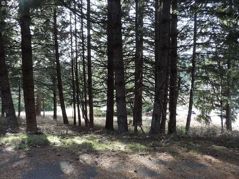 0.52 Acres of Residential Land for Sale in Carson, Washington