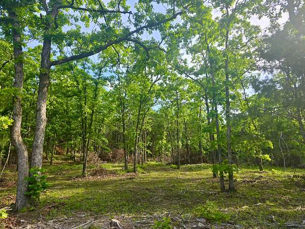 36 Acres of Recreational Land for Sale in Whitesboro, Oklahoma