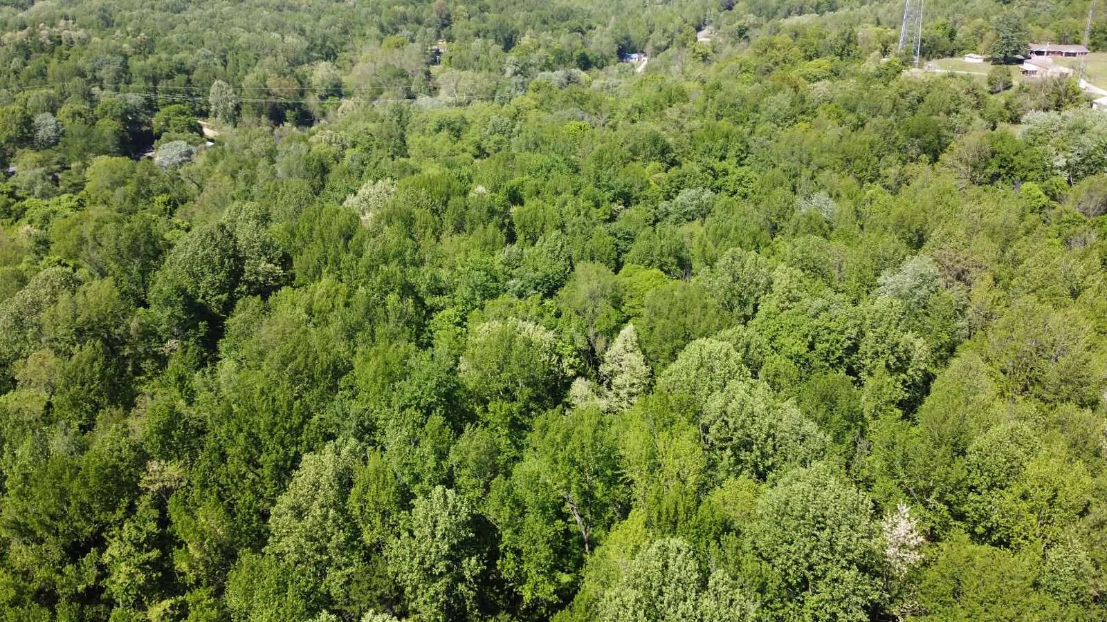 3.3 Acres of Land for Sale in Tell City, Indiana