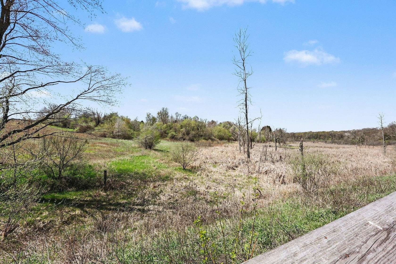 23.6 Acres of Land for Sale in Chelsea, Michigan
