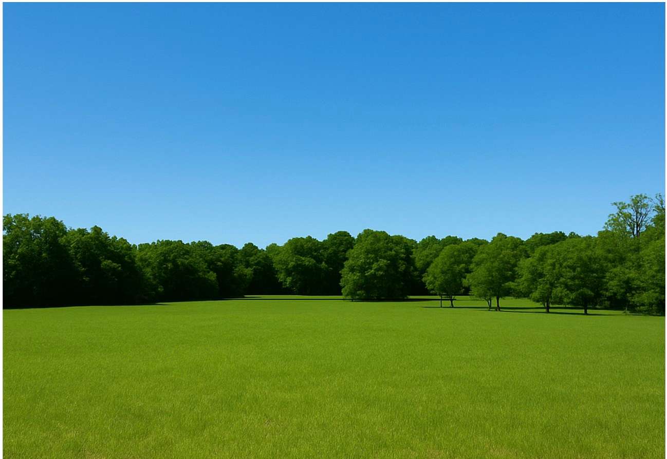 5.52 Acres of Residential Land for Auction in Lebanon, Tennessee