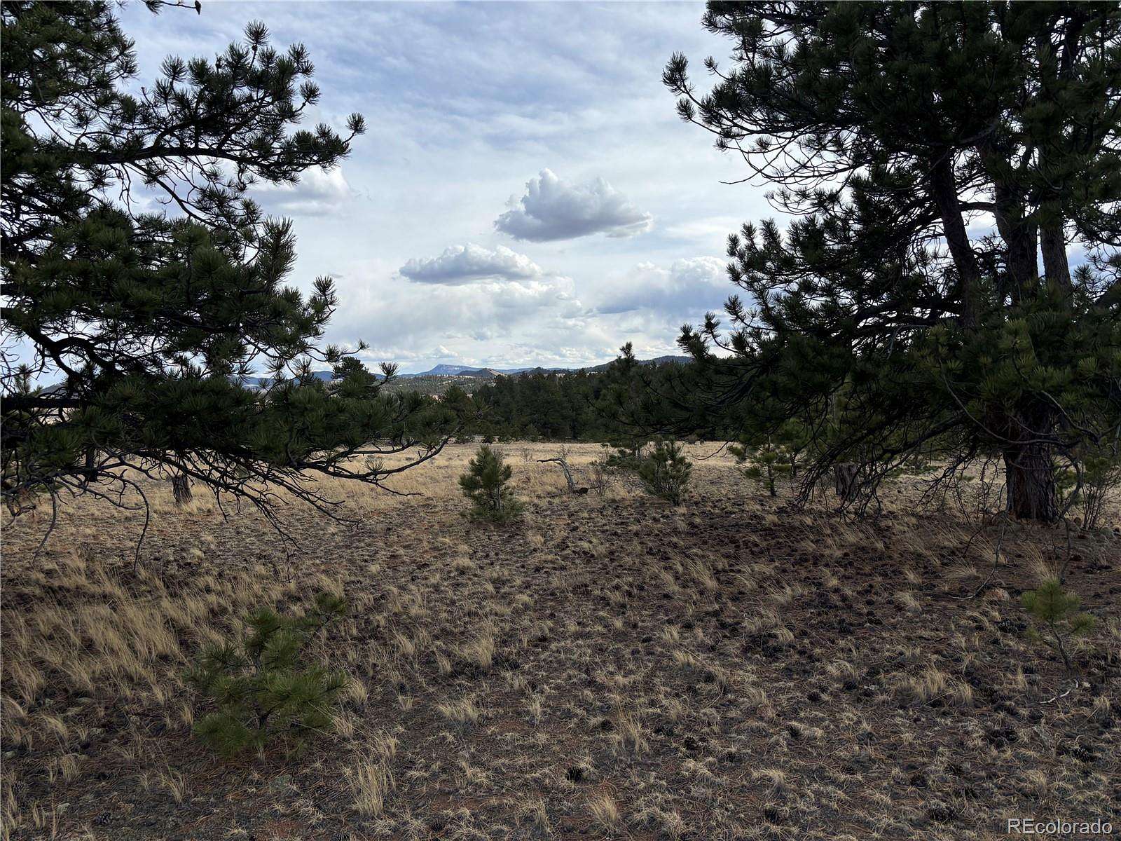 3.53 Acres of Residential Land for Sale in Hartsel, Colorado