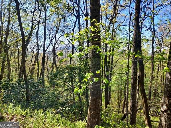 4.78 Acres of Land for Sale in Scaly Mountain, North Carolina