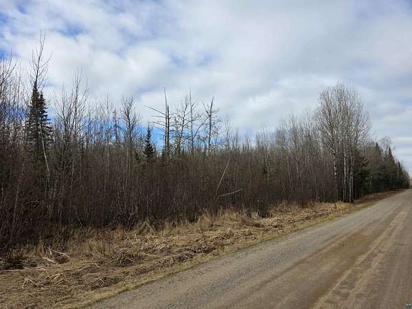 40 Acres of Land for Sale in Hibbing, Minnesota