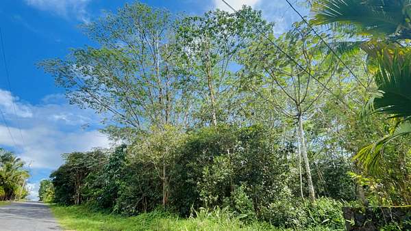1 Acre of Residential Land for Sale in Keaau, Hawaii