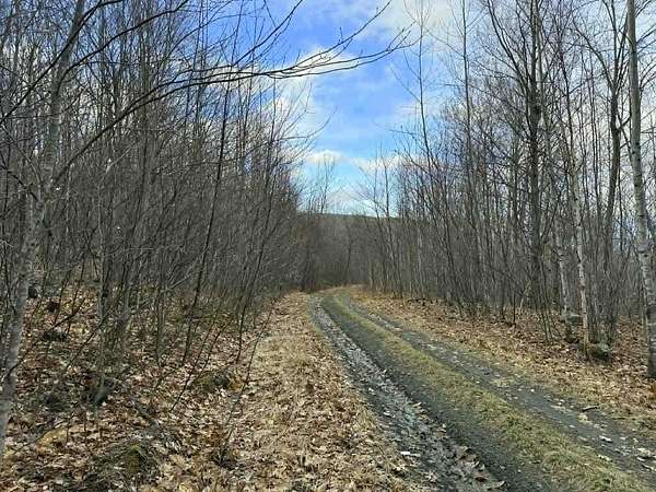 43 Acres of Land for Sale in Industry Town, Maine