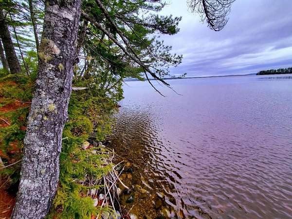 1.5 Acres of Residential Land for Sale in Ellsworth, Maine