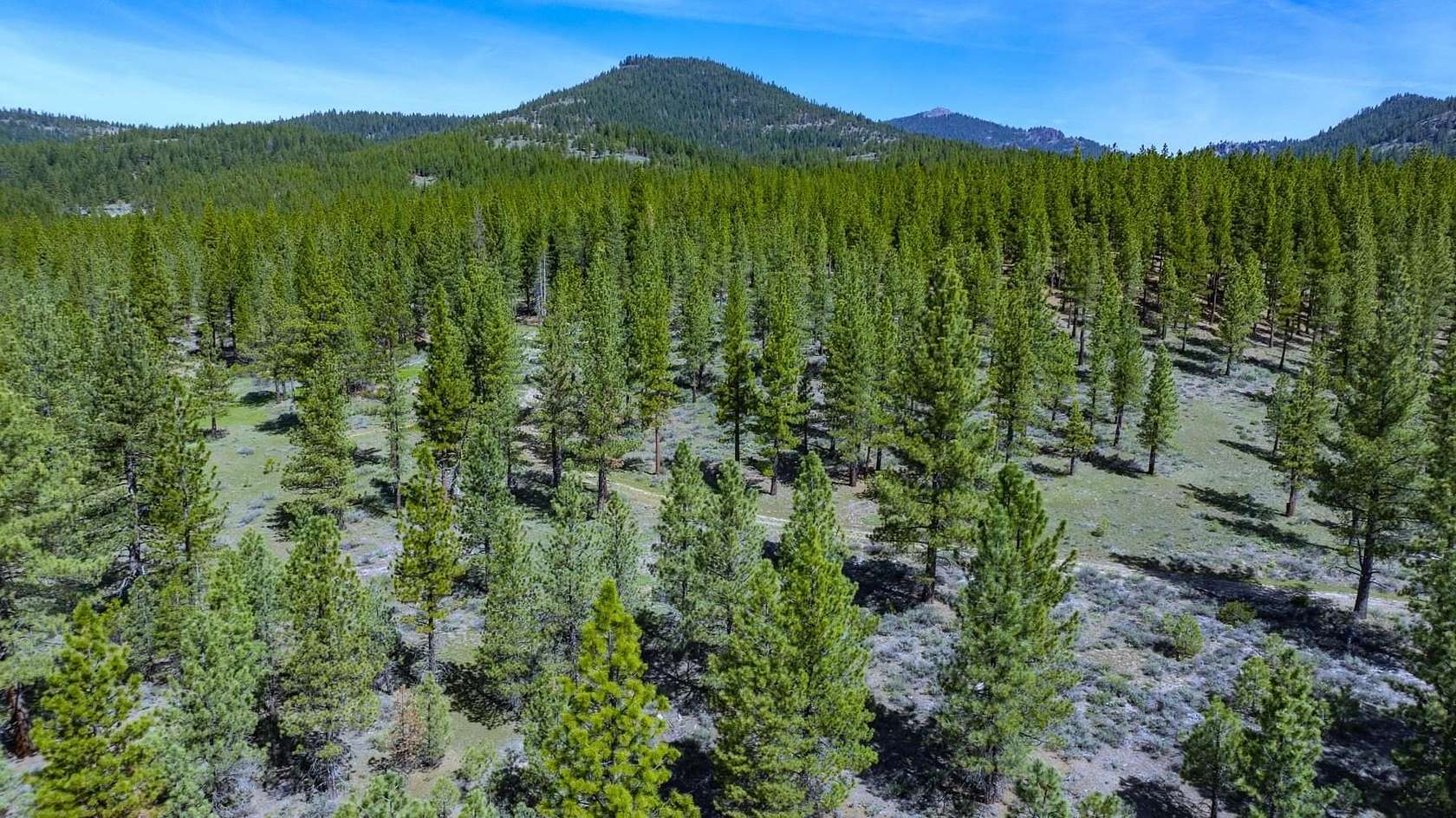 83 Acres of Agricultural & Residential Land for Sale in Portola, California