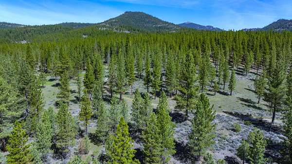 83 Acres of Agricultural & Residential Land for Sale in Portola, California