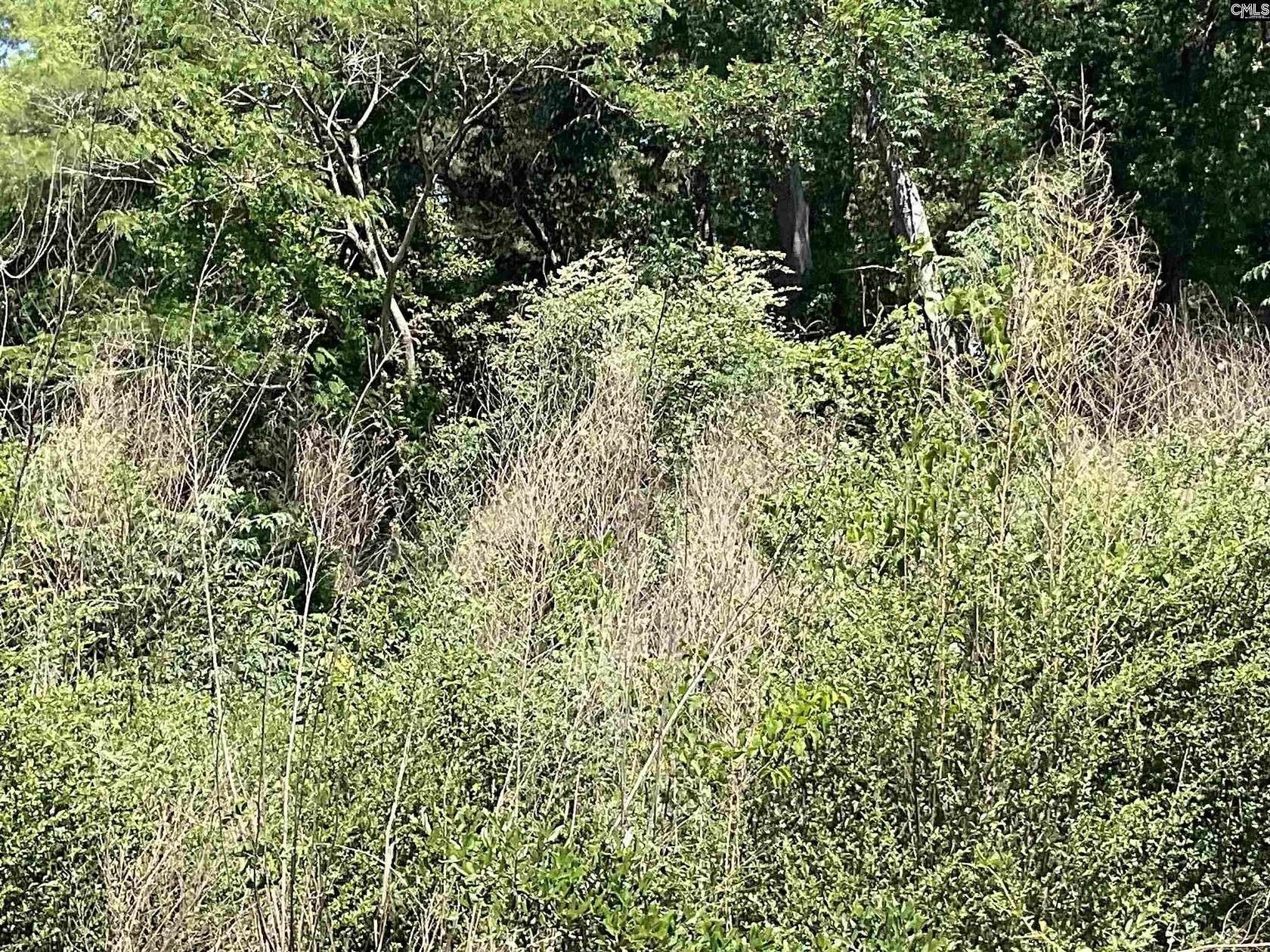 2 Acres of Residential Land for Sale in Bamberg, South Carolina