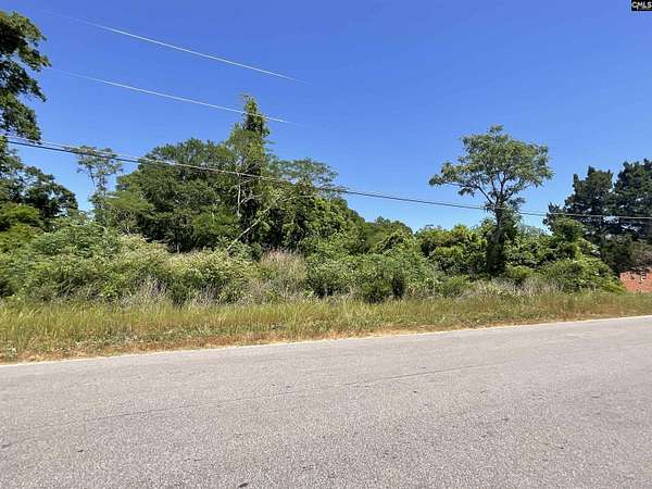 2 Acres of Residential Land for Sale in Bamberg, South Carolina