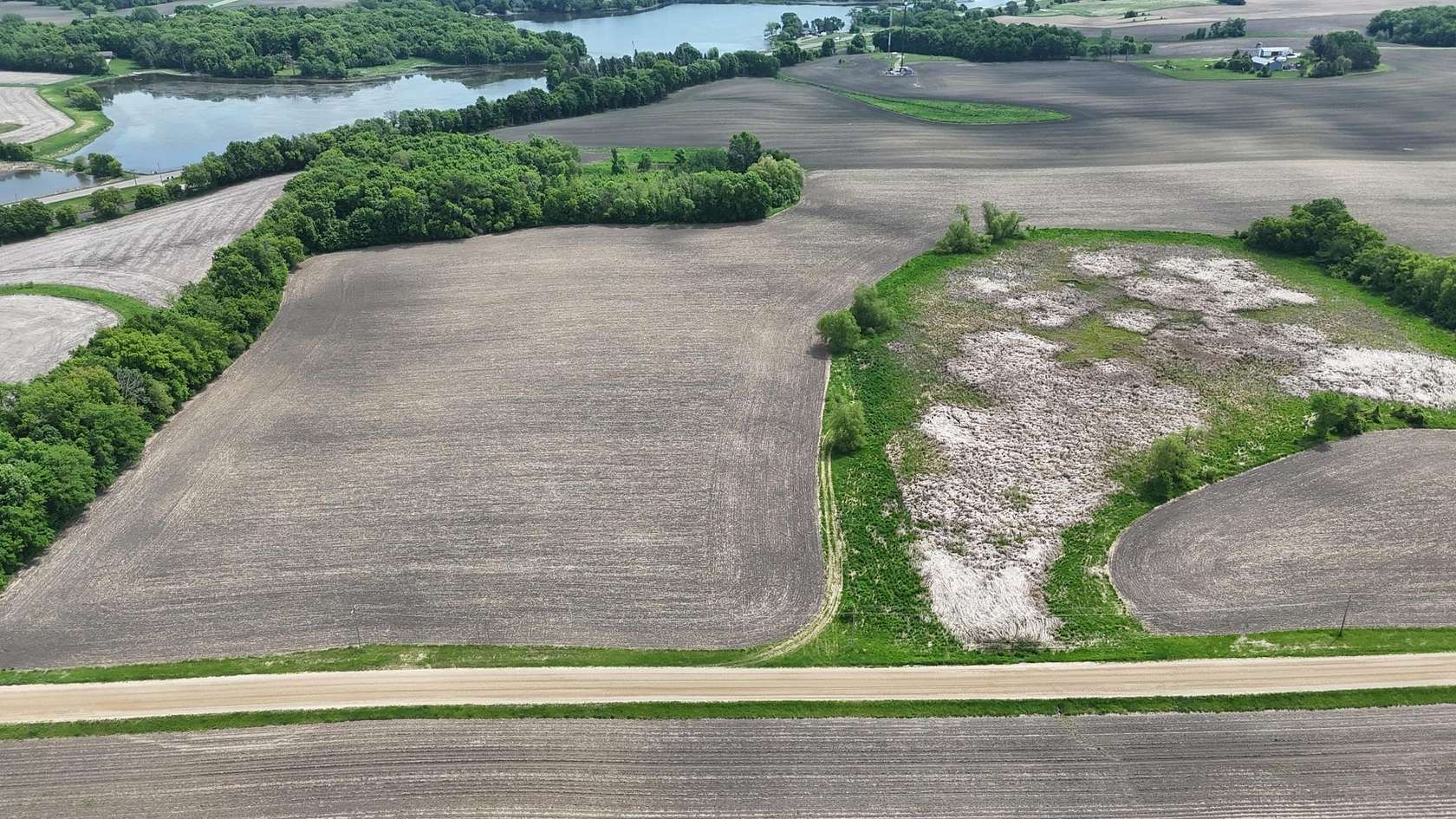 35.7 Acres of Land for Sale in Buffalo, Minnesota