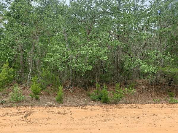 0.22 Acres of Residential Land for Sale in Interlachen, Florida