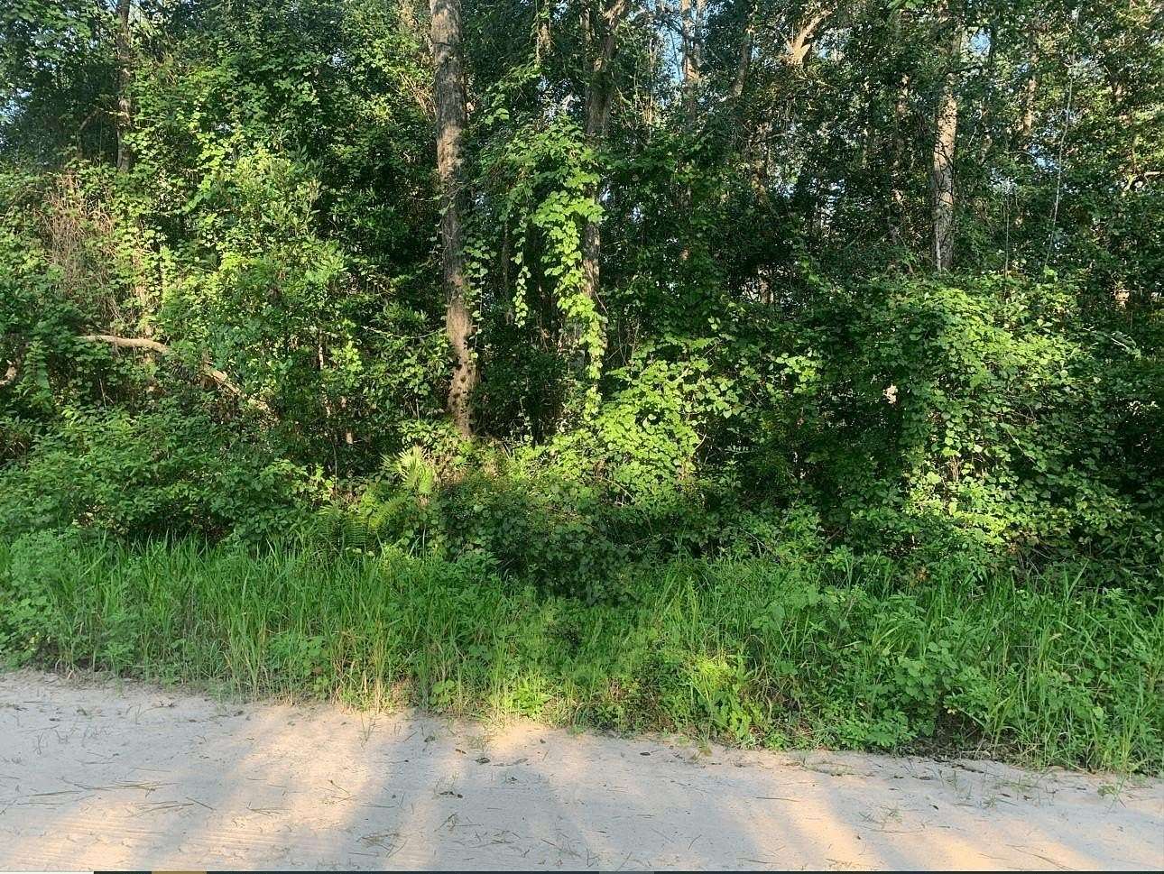 0.28 Acres of Residential Land for Sale in Interlachen, Florida
