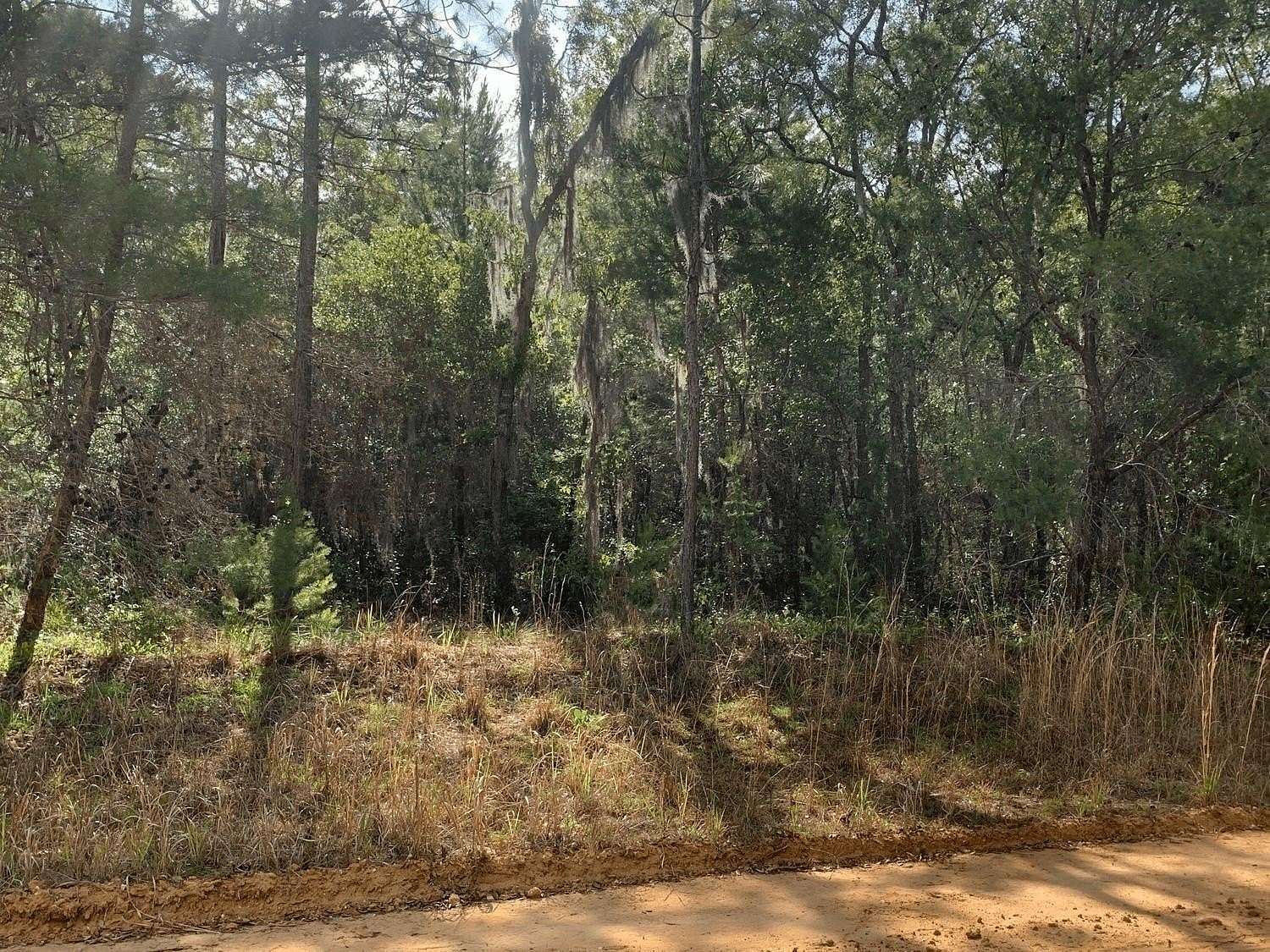 0.22 Acres of Residential Land for Sale in Interlachen, Florida