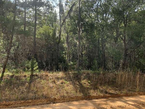 0.22 Acres of Residential Land for Sale in Interlachen, Florida