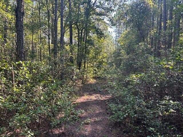 0.27 Acres of Residential Land for Sale in Palatka, Florida