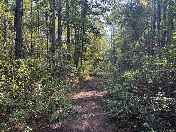 0.27 Acres of Residential Land for Sale in Palatka, Florida