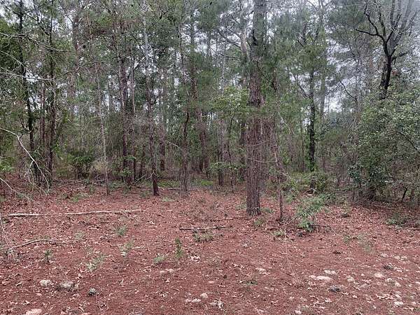 0.3 Acres of Residential Land for Sale in Interlachen, Florida